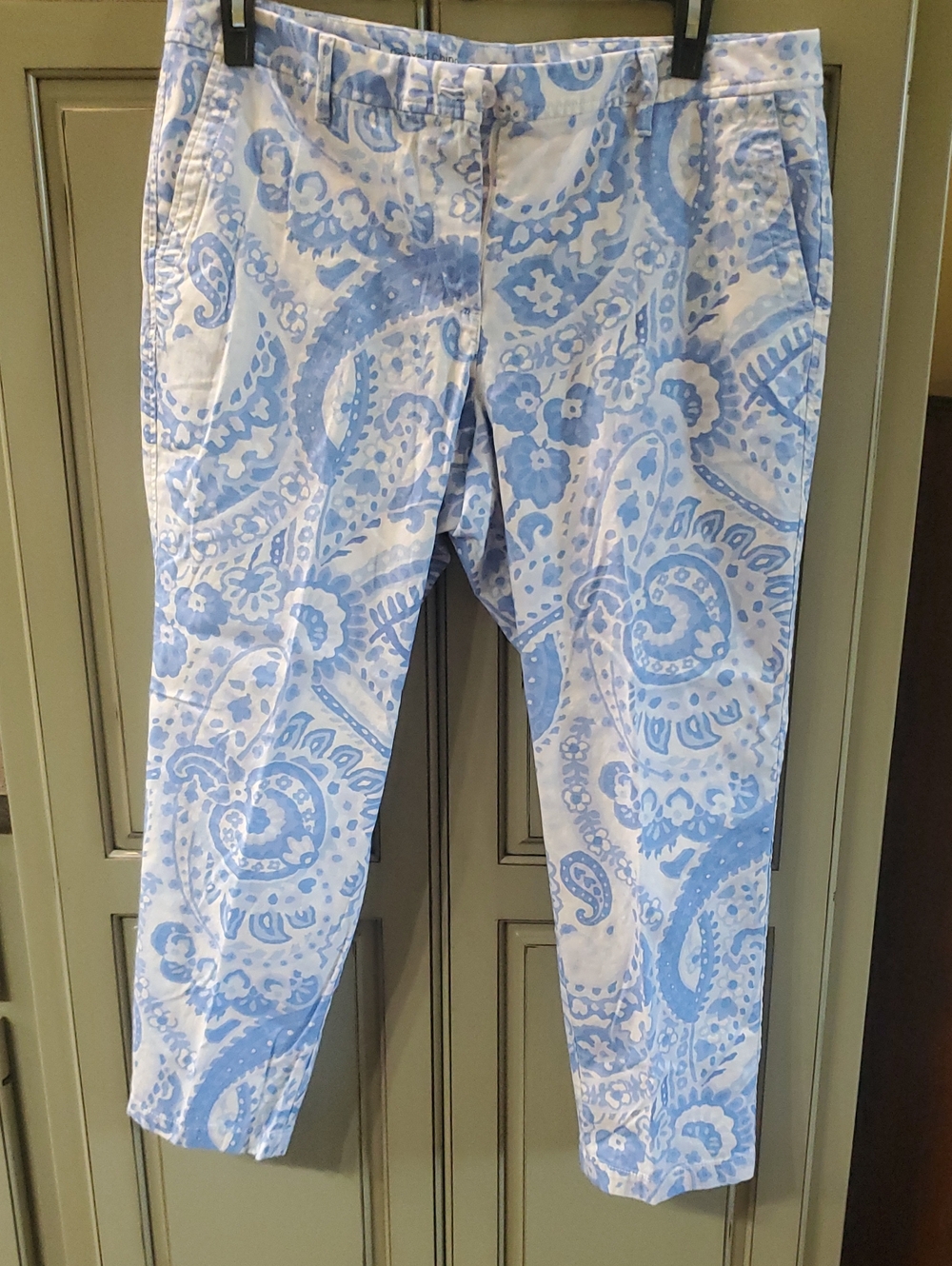 Talbot's Light Blue Paisley Women's Pants